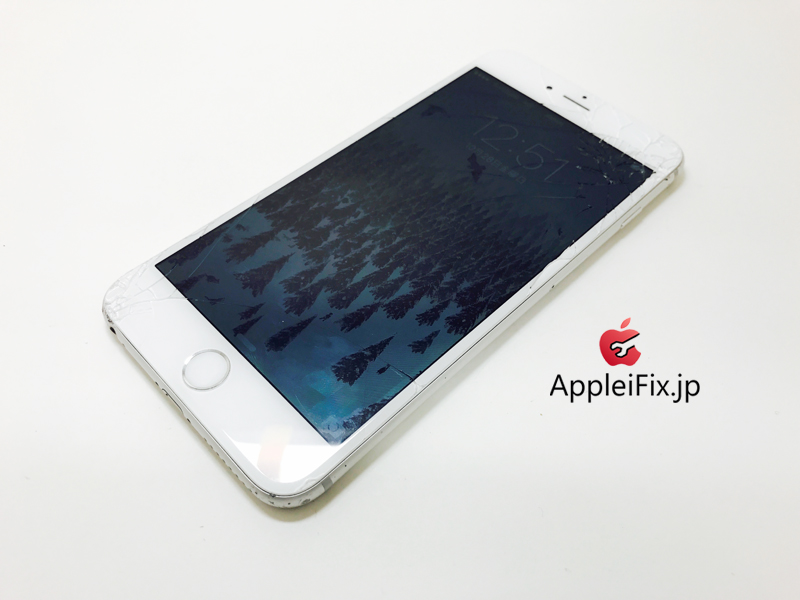 iPhone6 Plus Silver_repair_3.jpg