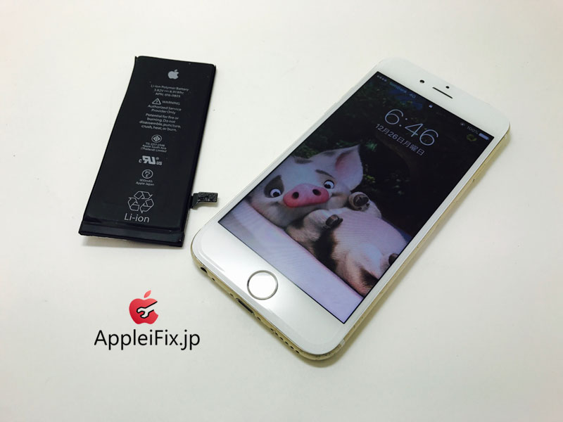 iPhone6 Gold Display&Battery_repair_4.jpg