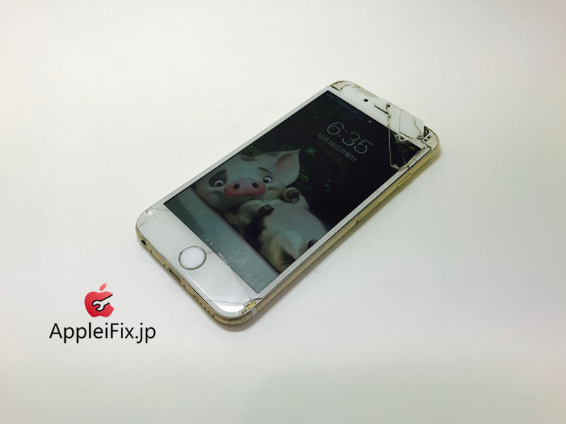 iPhone6 Gold Display&Battery_repair_2.jpg