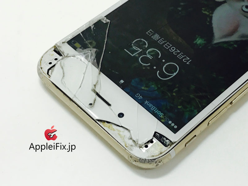 iPhone6 Gold Display&Battery_repair_1.jpg