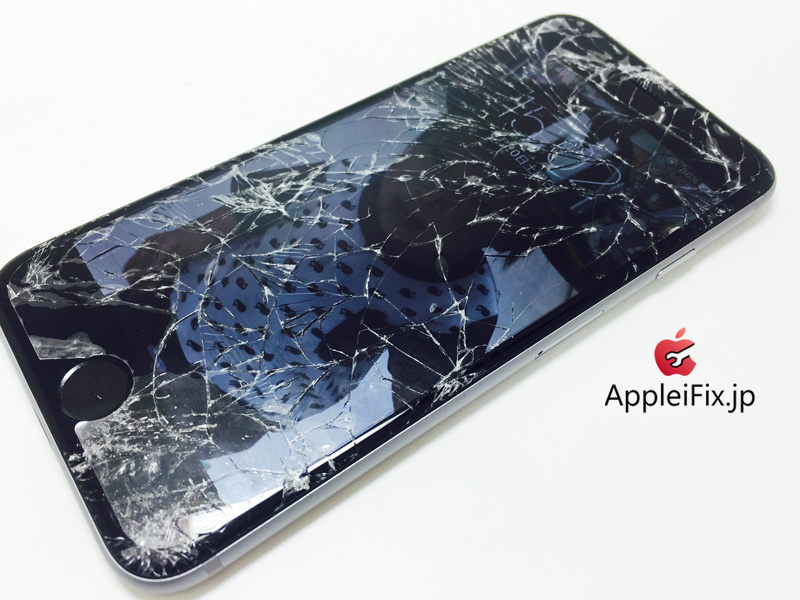 iPhone6 Spacegrey_repair_3.jpg