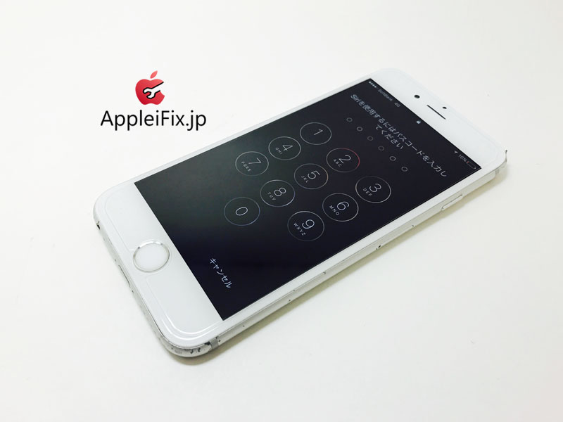 iPhone6S Silver_repair_4.jpg