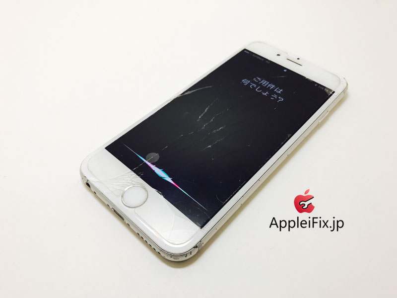 iPhone6S Silver_repair_5.jpg