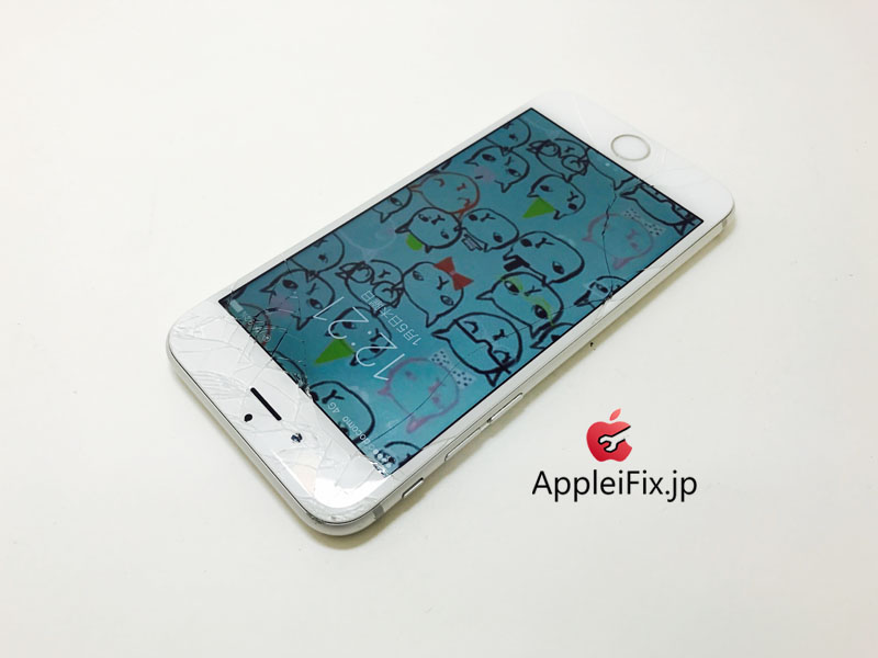 iPhone6 Silver_repair_2.jpg