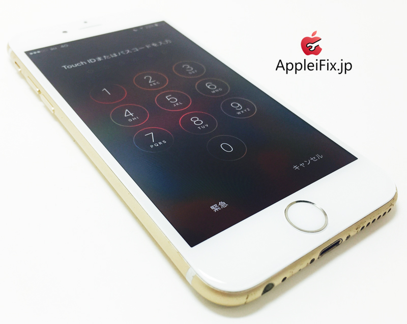 iPhone6 Gold_repair_4.jpg