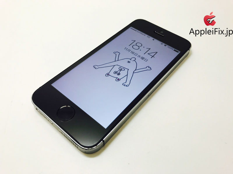 iPhone5S Spacegrey_repair_6.jpg