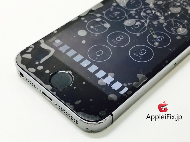 iPhone5S Spacegrey_repair_3.jpg