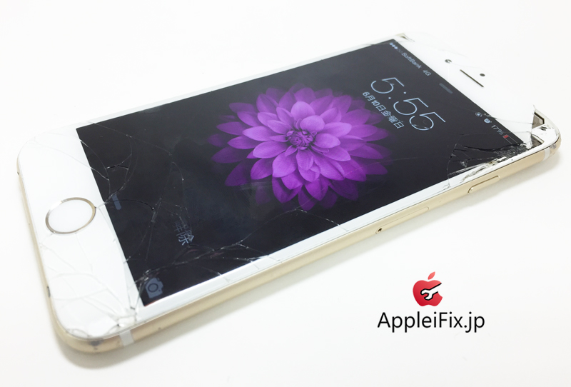 iPhone6 Gold_repair_3.jpg