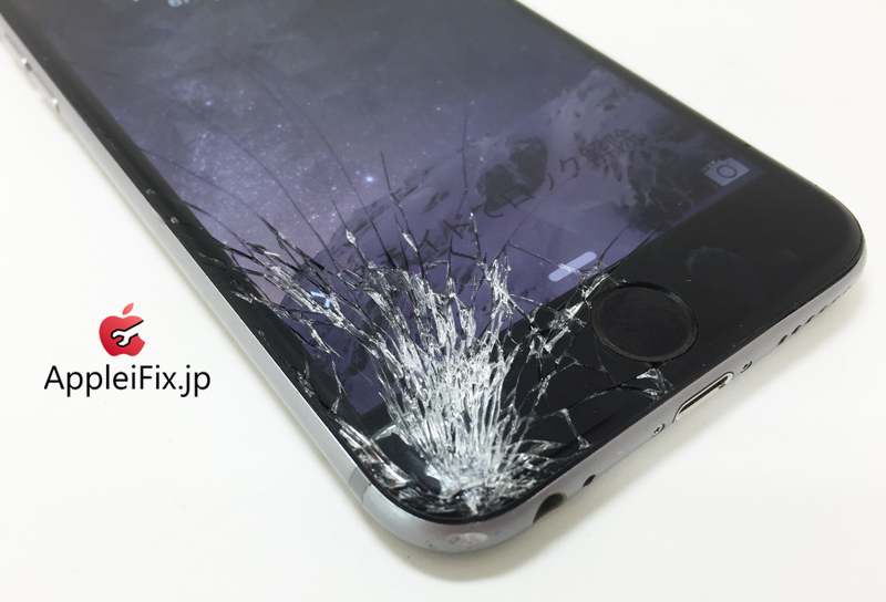 iPhone6 Spacegrey_repair_1.jpg