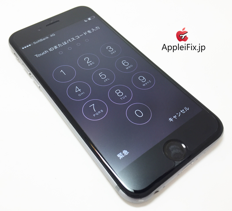 iPhone6 Spacegrey_repair_4.jpg