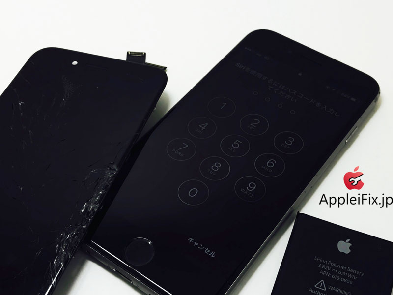 iPhone6 Spacegrey(Display, Battery)_repair_2.jpg