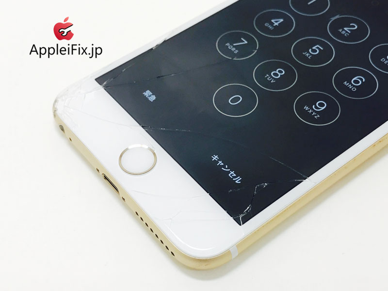 iPhone6 Plus Gold_repair_1.jpg