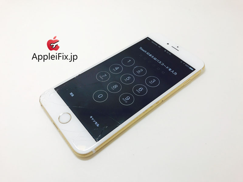 iPhone6 Plus Gold_repair_2.jpg