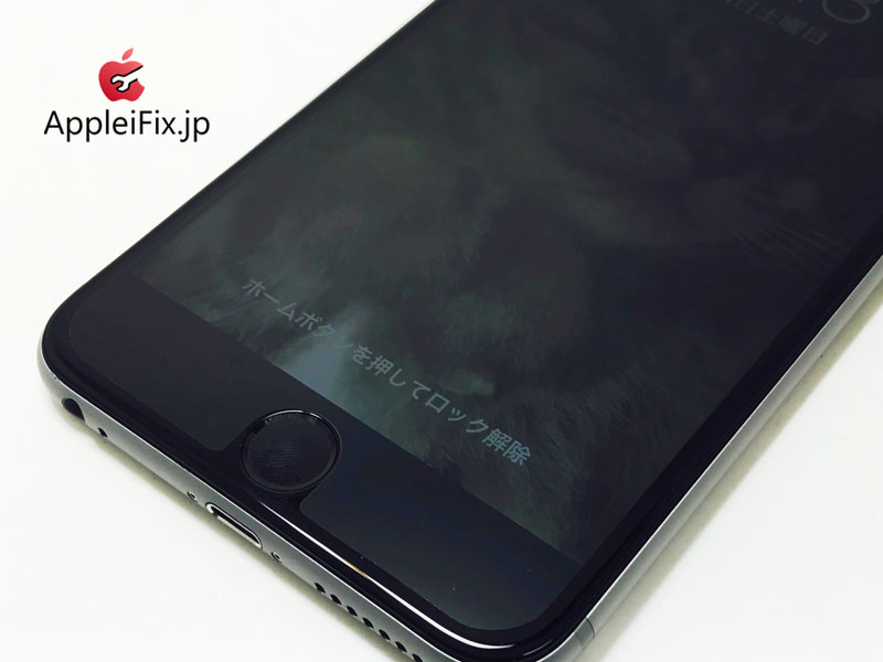 iPhone6 Plus Spacegrey_repair_3.jpg