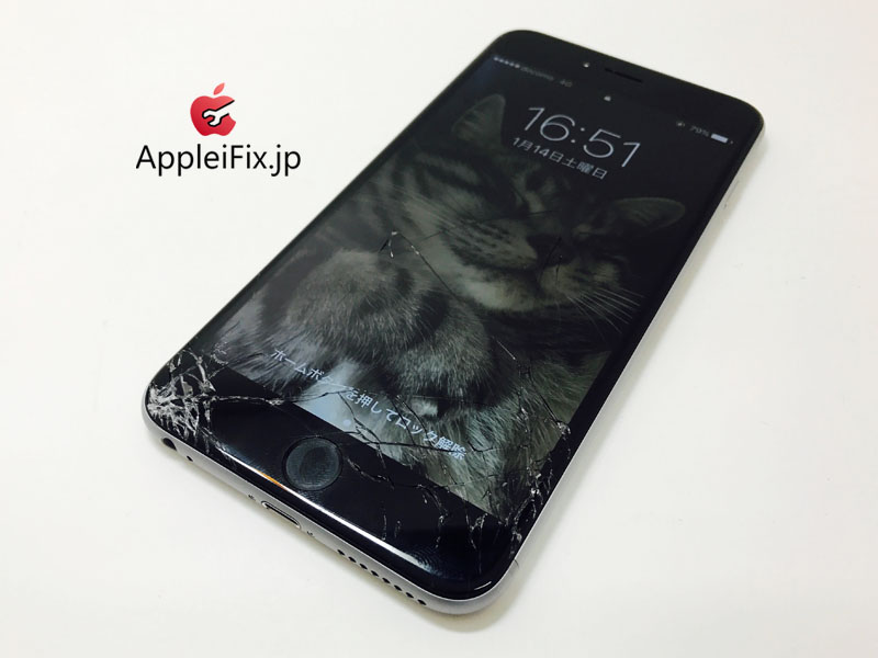 iPhone6 Plus Spacegrey_repair_2.jpg