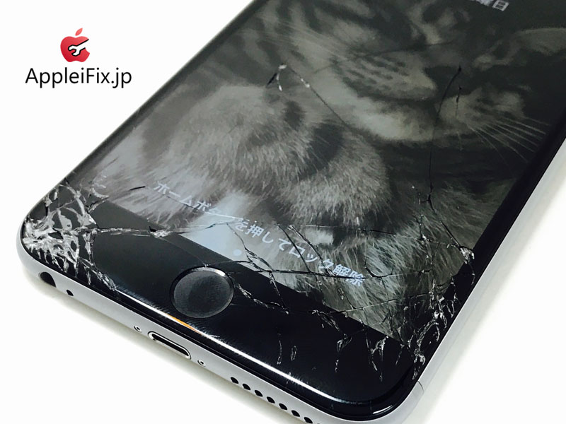 iPhone6 Plus Spacegrey_repair_1.jpg