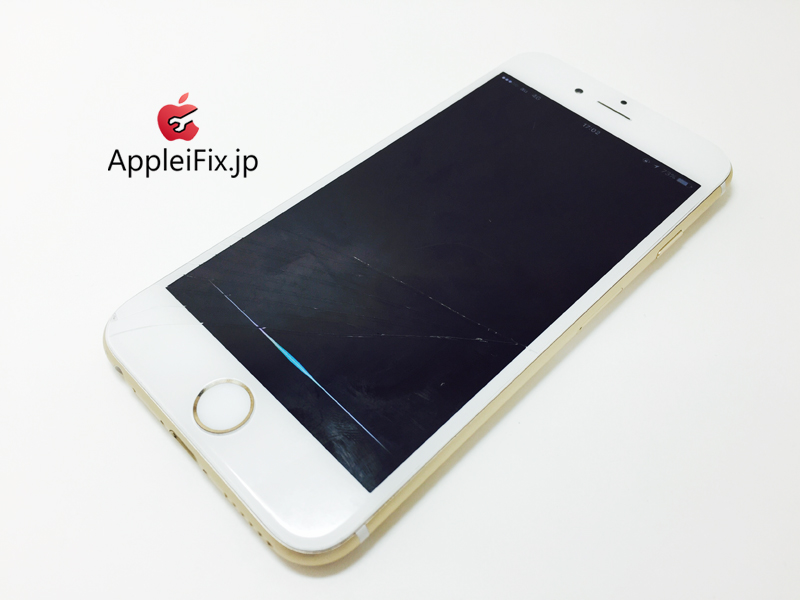 iPhone6 Gold_repair_3.jpg