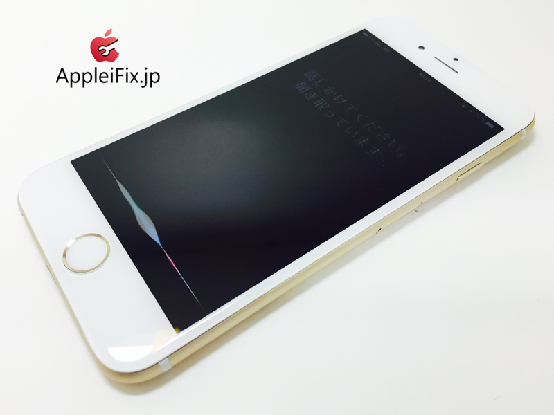 iPhone6 Gold_repair_4.jpg