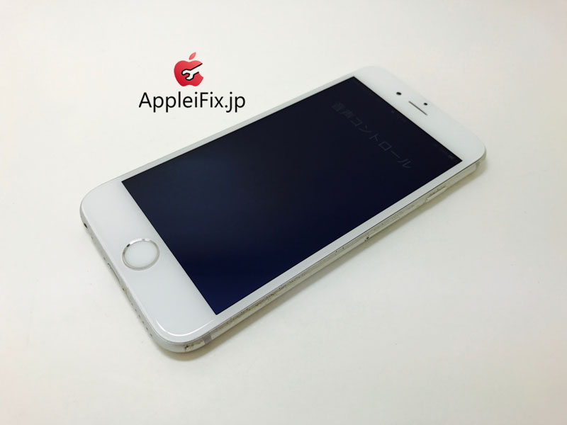 iPhone6S Silver_repair_4.jpg