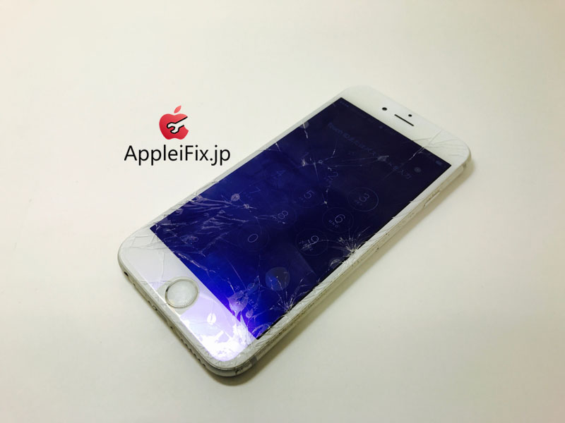 iPhone6S Silver_repair_3.jpg