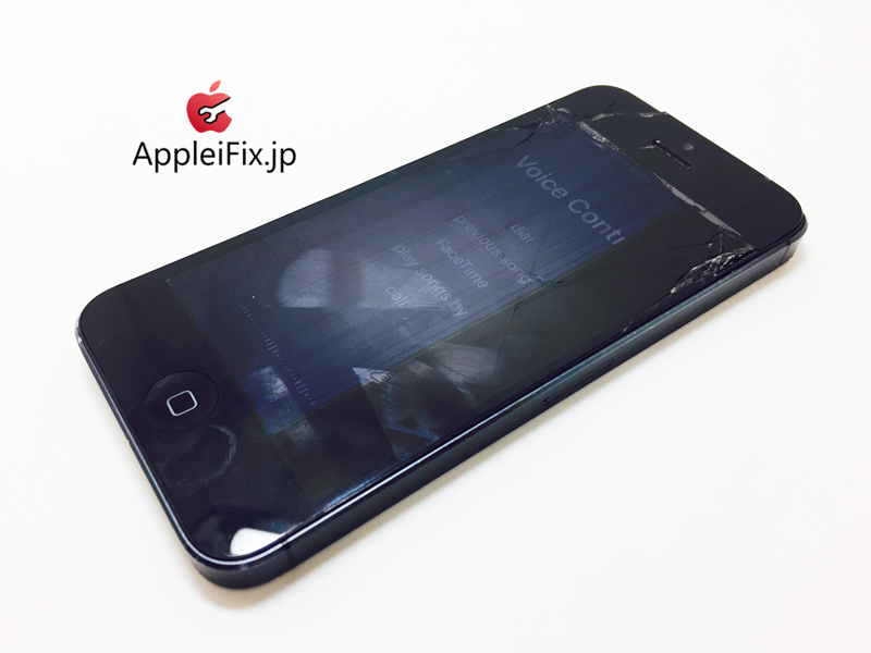 iPhone5 Black-1_repair_3.jpg