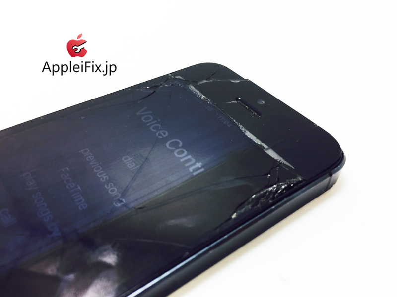 iPhone5 Black-1_repair_1.jpg