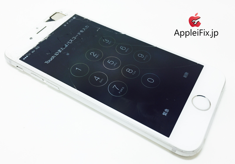 iPhone6 Silver_repair_3.jpg