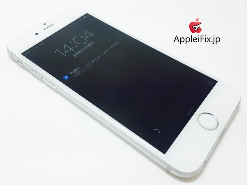 iPhone6 Silver_repair_4.jpg