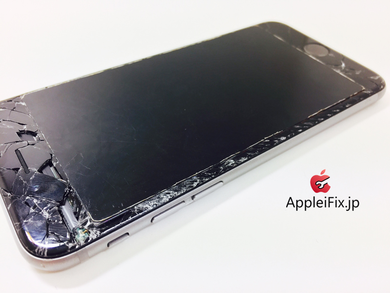 iPhone6 Spacegrey_repair_1.jpg