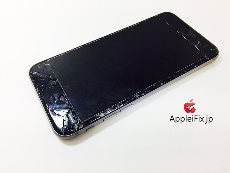 iPhone6 Spacegrey_repair_3.jpg