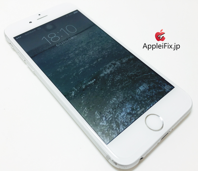 iPhone6 Silver_repair_4.jpg