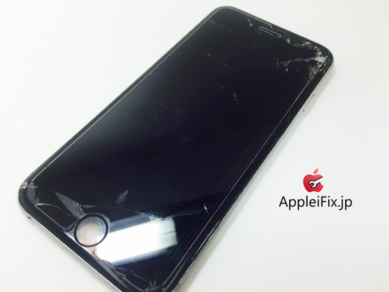 iPhone6 Spacegrey_repair_3.jpg