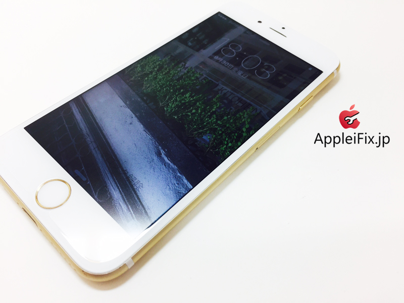 iPhone6S Gold_REPAIR_4.jpg