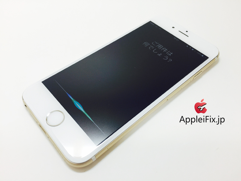 iPhone6 Gold_repair_4.jpg