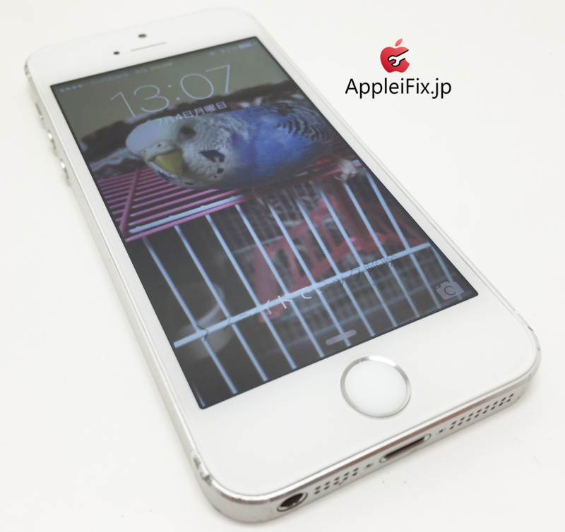 iPhone5Sシルバー画面修理_repair_4.jpg