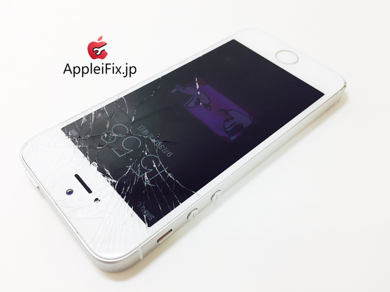 iPhoneSE Silver_repair_3.jpg