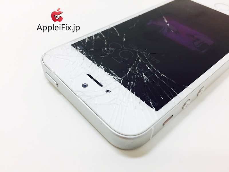 iPhoneSE Silver_repair_1.jpg