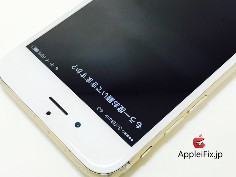 iPhone6 Gold_repair_3.jpg