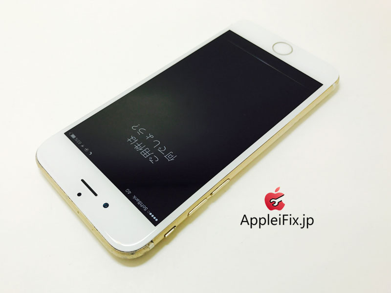 iPhone6 Gold_repair_4.jpg