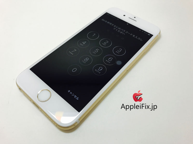 iPhone6S Gold_repair_4.jpg