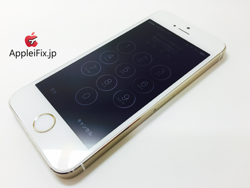 iPhone5S Gold_repair_4.jpg