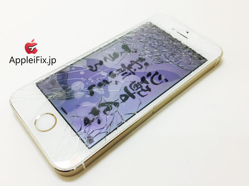 iPhone5S Gold_repair_3.jpg