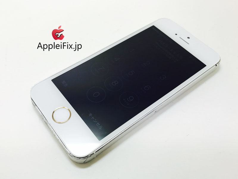 iPhone5S_repair_4.jpg