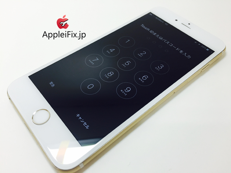 iPhone6 Plus Gold_repair_4.jpg