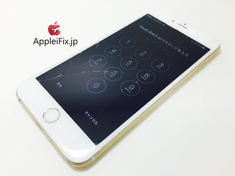 iPhone6 Plus Gold_repair_3.jpg