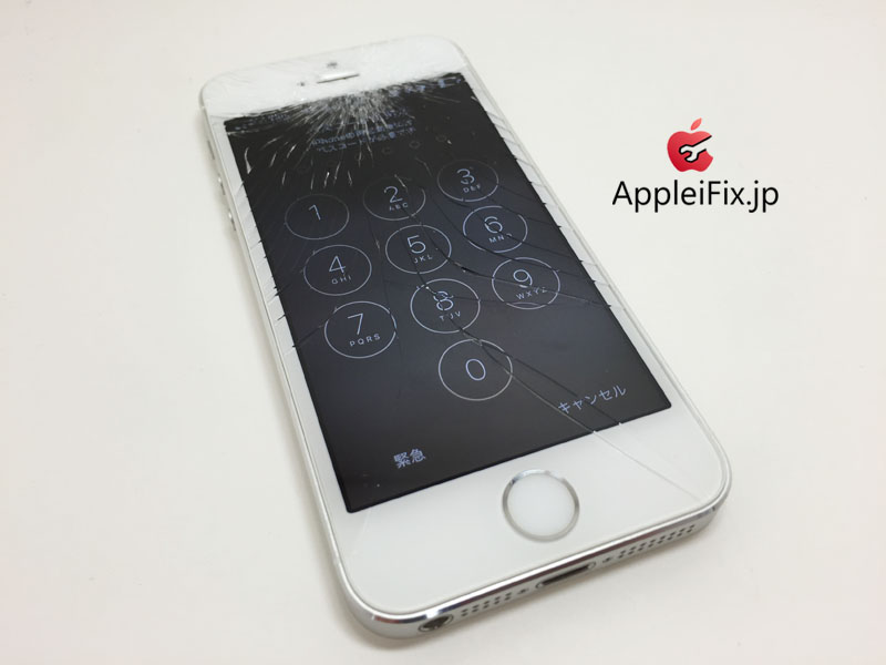 iPhone5S画面交換修理_Repair_3.jpg