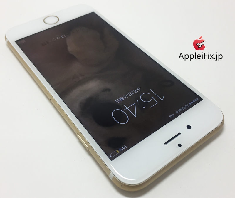 iPhone6 Gold_repair_5.jpg