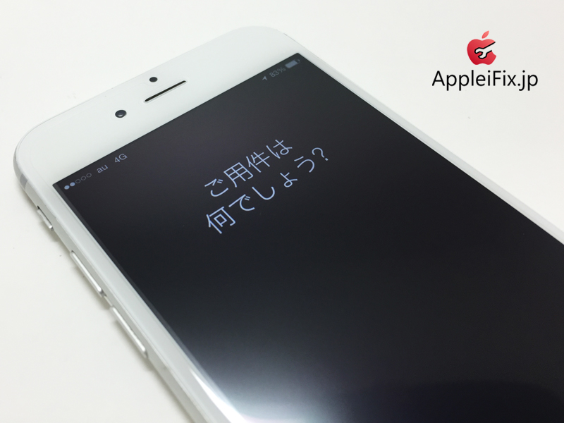 iPhone6 Silver-1_repair_4.jpg