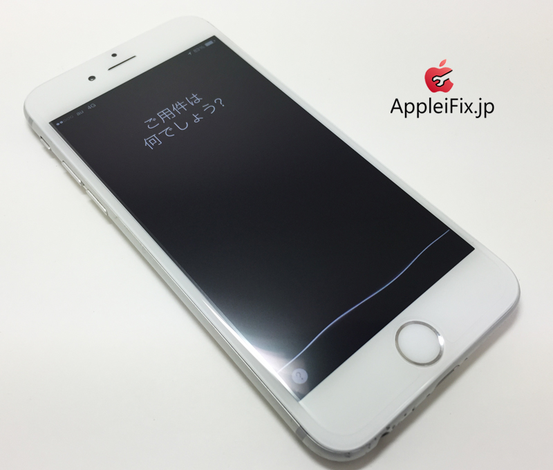 iPhone6 Silver-1_repair_3.jpg