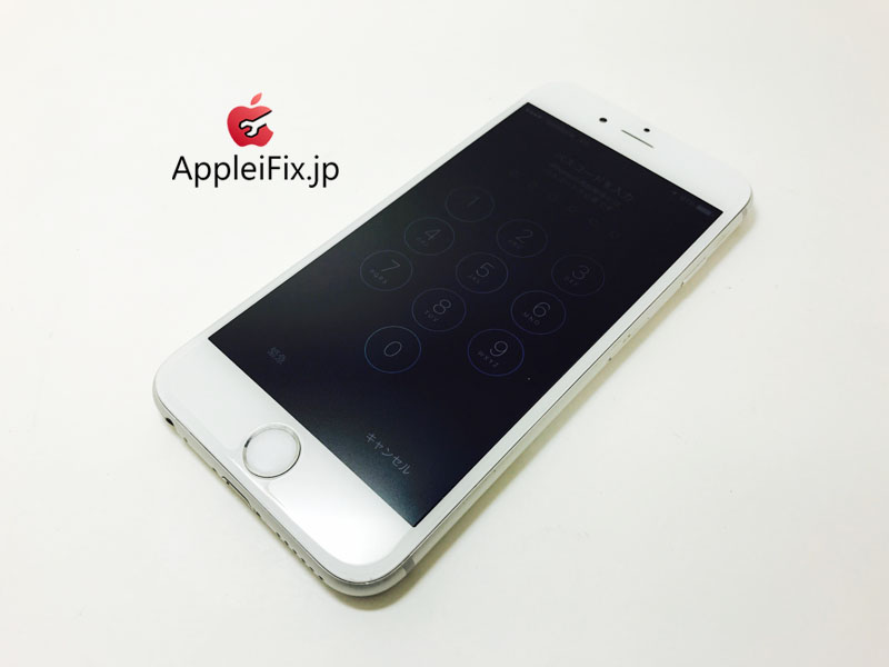 iPhone6S Silver-1_repair_4.jpg